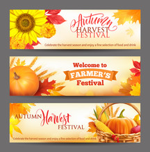 Banners For Autumn Harvest Festival. Vector Set. 
