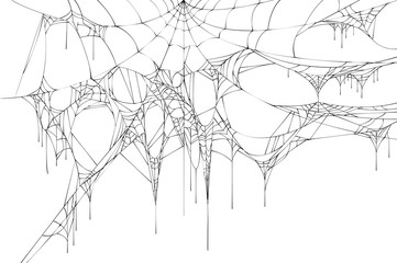 Wall Mural - black large torn spider web on white background