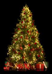 christmas tree isolated on black