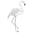 Flamingo vector illustration. Doodle style. Isolated on white background. Flamingo hand draw. Cloth, print, design, icon, logo, poster, textile, paper, card, cloth, wrapping, wallpaper. Eps10