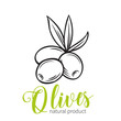 hand drawn olives icon