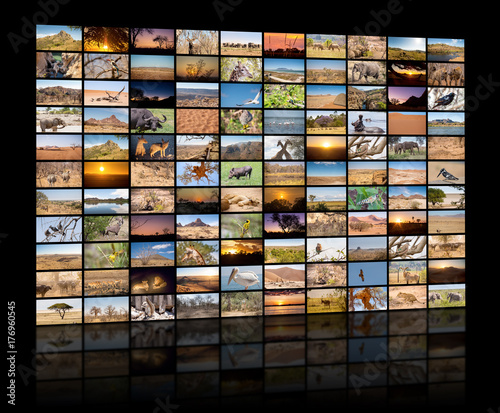 Plakat Różnorodne obrazy afrykańskich krajobrazów i zwierząt jako duża ściana obrazu, kanał dokumentalny