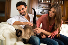 Happy Couple Playing With Their Cat On The Couch