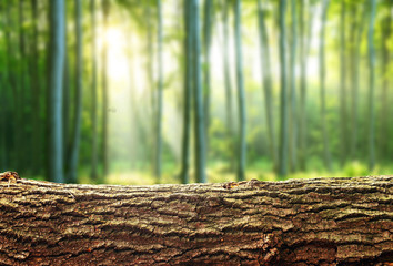 Poster - Nature background