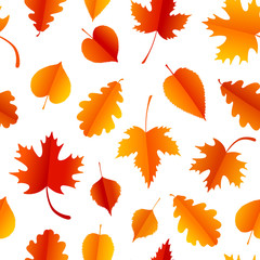 Wall Mural - Vector seamless pattern with colorful autumn leaves