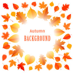 Wall Mural - Autumn background with leaves.