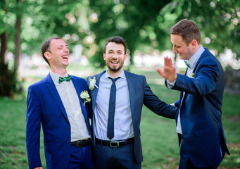 Wall Mural - Groom and groomsmen in blue suits pose together in green park