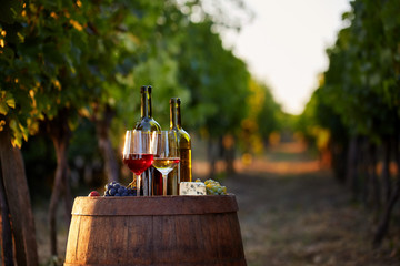 Wall Mural - Wine tasting in the vineyard. Two glasses of white and red wine with bottles at sunset.