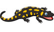 cartoon happy salamander isolated on white background