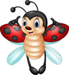 Cartoon ladybug flying isolated on white background