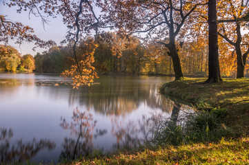  Park Jesienią Drzewa