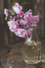 Cherry Blossom Branch In Glass Vase