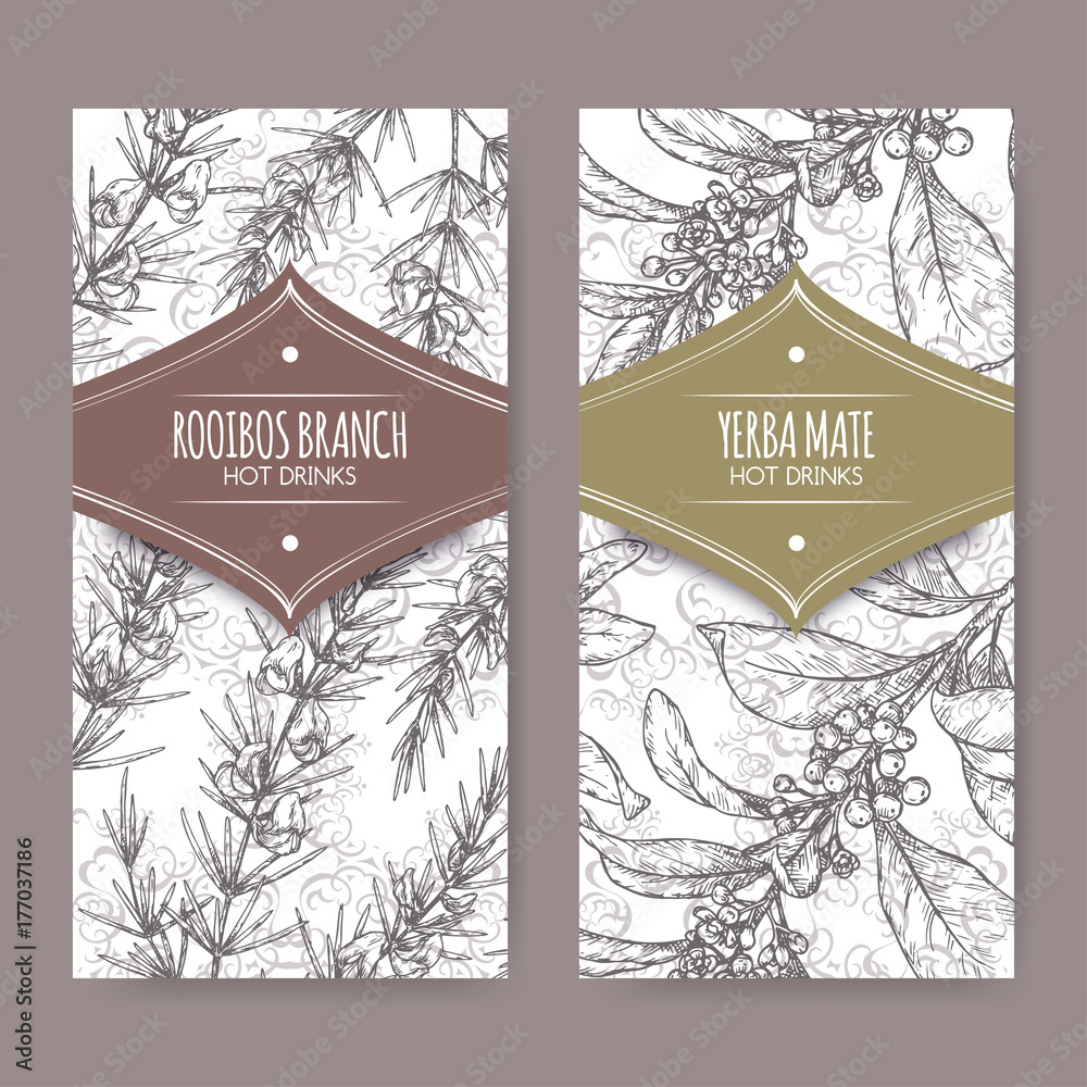 Vector de Stock Set of two labels with Rooibos aka Aspalathus linearis ...