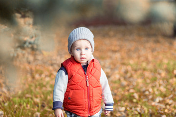 Beautiful stylish baby boy 2 years old walking in fallen leaves - autumn scene. Toddler have fun outdoor in autumn yellow park