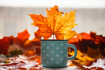 Wall Mural - autumn. fallen leaves and a rustic mug of warm tea