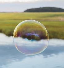 Bubble Floating Over Marsh