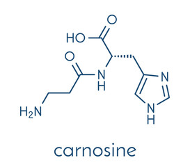 Sticker - Carnosine molecule. Has antioxidant properties; commonly used in food supplements. Skeletal formula.