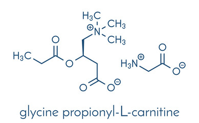 Poster - GPLC (glycine propionyl-L-carnitine) nutritional supplement molecule.  Skeletal formula.