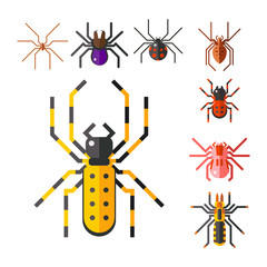 Wall Mural - Spider web silhouette arachnid fear graphic flat scary animal design nature insect danger horror halloween vector icon.