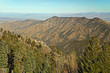 Panoramic view from Mt. Lemmon Ski Valley on Mount Lemmon in Tucson, Arizona, USA in the Santa Catalina Mountains located in the Coronado National Forest with blue sky copy space.