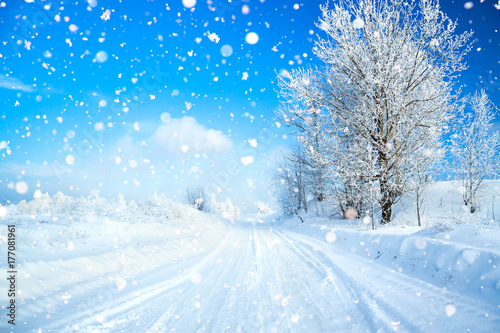 winter landscape with road