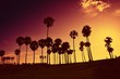 Sunset at Venice Beach, California, USA.