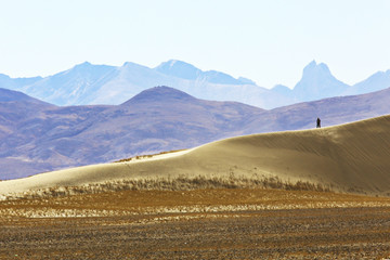 Wall Mural - desert landscape of nature