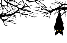 Halloween Theme Evil Bat Hanging Among Tree Branches - Monster Vector Design