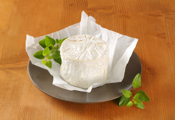 Poster - French Chaource cheese