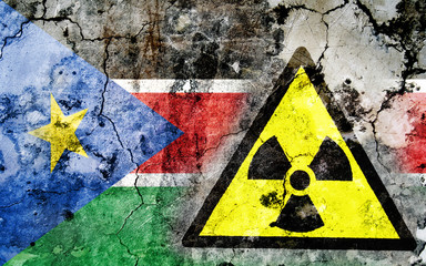 Wall Mural - Old cracked wall with radiation warning sign and painted flag