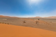 Sonnenschein über der Namib-Wüste