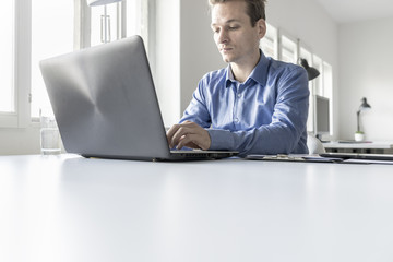 Wall Mural - Businessman in office typing information on laptop computer