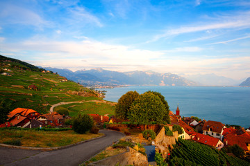 Wall Mural - Vineyards of the Lavaux region,Switzerland