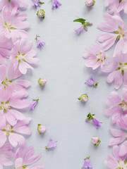 Wall Mural - Pink flowers on a gentle blue background. Abstract floral composition. Pattern frame of plants. Top view, flat lay. Floral, plants background. Mother's Day, March 8 background.