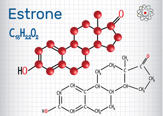 Poster - Estrone E1 (estrogen, minor female sex hormone ) - structural chemical formula and molecule model. Sheet of paper in a cage