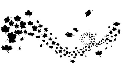 leafs silhouette autumn wind