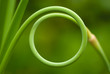 © Alari Kivisaar/Stocksy - Circle