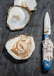 © MartaMC/Stocksy - Oysters on blackboard with knife opener