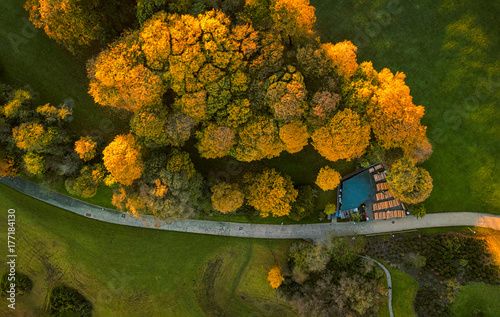 Herbst In Munchen Bunte Blatter Im Englischen Garten Ausflug In