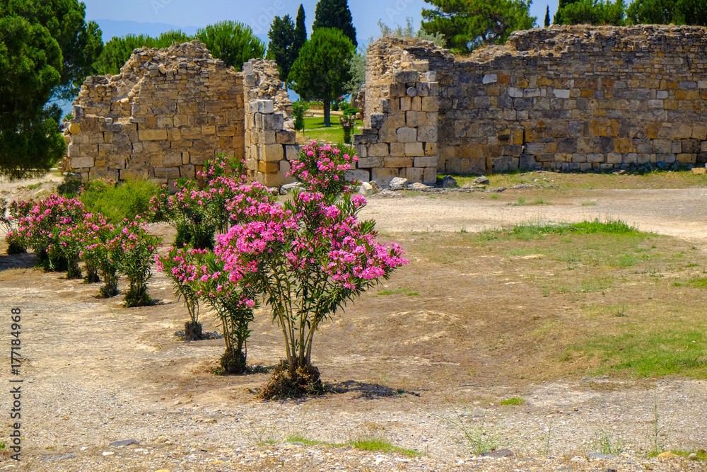 Beautiful landscape with ancient ruins on sunny day