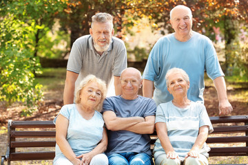 Wall Mural - Group of elderly people resting in park