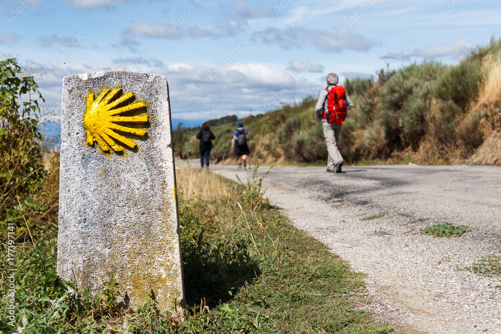 The yellow scallop shell signing the way to santiago de compostela on the st james pilgrimage route - obrazy, fototapety, plakaty 