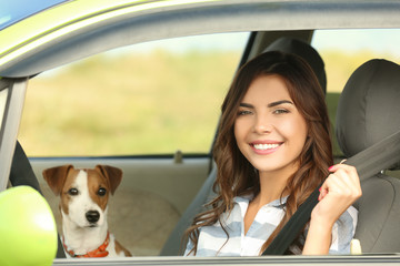 Wall Mural - Beautiful young woman with cute dog in car