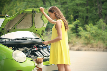 Wall Mural - Young woman with dog standing near broken car