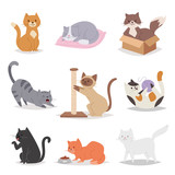 Fototapeta Koty - Funny cartoon cats characters different breeds illustration. Kitty young pet