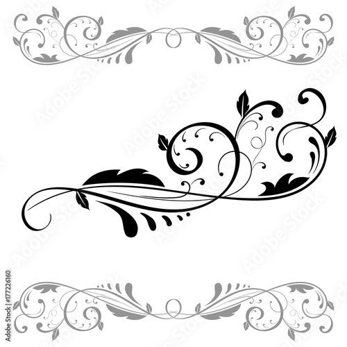 Cuadros en Lienzo Floral ornament. Set of black dividers