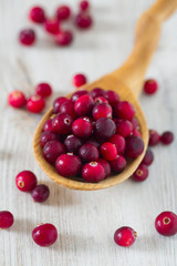 Poster - fresh cranberries on white wooden surface