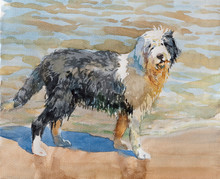 Watercolor Image Of Black White Dog Playing Sand On The Beach. Watercolor Concept. Animal Concept. Pets Concept