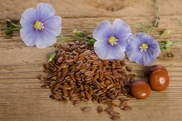 Wall Mural - Flax seeds , beauty flower and pills on woooden background. Phytotherapy.