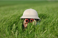 Little Boy With Binoculars And Safari Hat, Laying In The Grass Searching For Knowledge